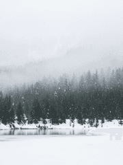 그림자의 목소리에 답하다