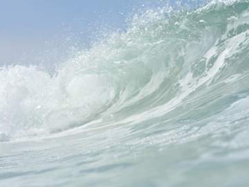 [척애, 솔낭] 𝕊𝕦𝕞𝕞𝕖𝕣 𝕊𝕦𝕣𝕗𝕚𝕟𝕘 𝔸𝕕𝕖