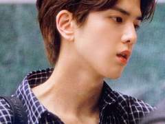 펀치 드렁크 러브