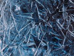 칸쿠쿠 센티넬 버스🧊