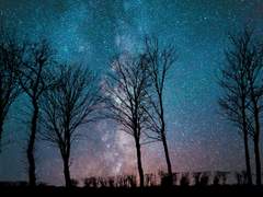 그 시절의 너와 나