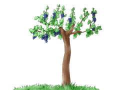 여우와 신포도 제작중