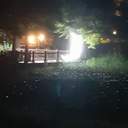 벨루가 귀여워요