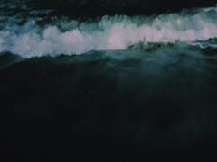 가장 망령된 것.