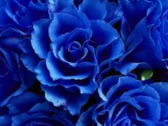 [서유진/3학년/도서부]