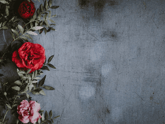 항상 진심이였어