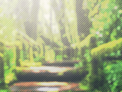 숲속에서의 한 잔