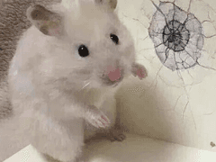 늦은 9화 마감 일기