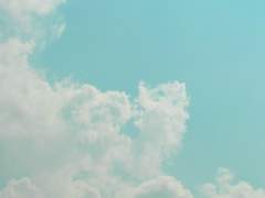 ♣서나비 :: 🦋