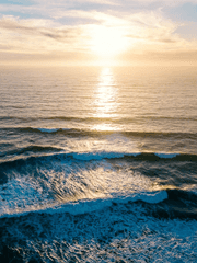 [바요용쿠] 바다