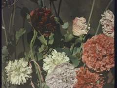 이도령은 누구를 보았나