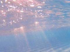 호수에 물거품 일렁이듯