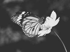 남겨진것들에게 전하는 이야기