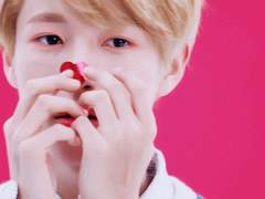 여우 수인 황인준 SSUL