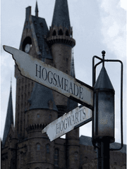 디키,나랑 놀래?