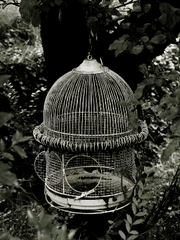 [보쿠아카] 헤어진 연인에 대하여