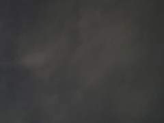 감정의 레플리카