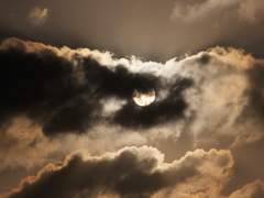 [요한예서] 품에 저문 달을 안고