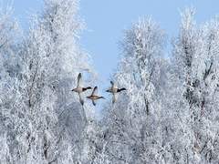 너희에게 여름휴가의 축복이 따르길
