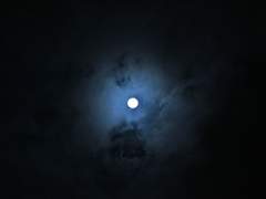 노랫가락이 밤을 감싸고