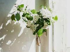 누구보다 다채롭게 빛나는