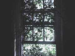 선택할 수 있는 것과 없는 것