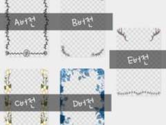 투명 꽃 프레임 공유