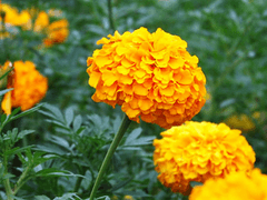 부디 이 행복한 동화가 끝나지 않기를.