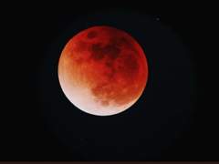 Lucid Dream(부제 : nightmare)