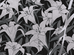 일러스트 엽서북 및 아크릴 키링 통신판매 안내사항 (~8/10)