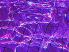 타츠자와 후사노 (たつざわ ふさの)