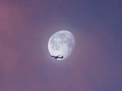 청춘을 묻는다. 04