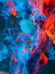 얼레벌레 센티넬썰