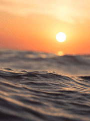 [기유탄] 최종국면 이후