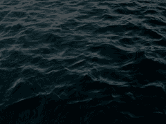 우린 다른 곳을 보고 있는 걸까?