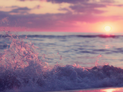 [ 치트퍼블 ] 레어 너머의 열대야 7