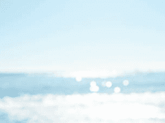 한여름 밤의 꿈