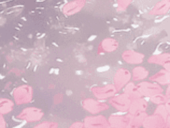 나카지마 미나토 / XY / 조로아크