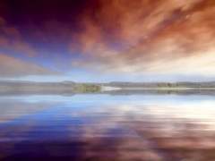 자본커 공개프로필