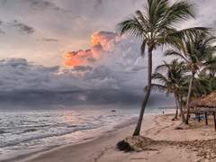 [유가코코조합] 서머타임 下