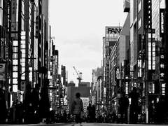 [이부시마] Lost In Wonderland 03