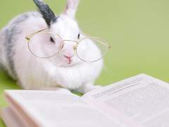 크고 다 자란 네게,