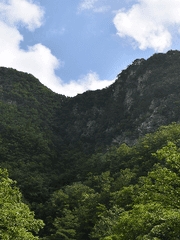 얄다바오트 테라 헤스티아