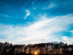 너를 사랑하지 않기에