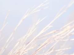 친애했던, 최초의 중력에게.