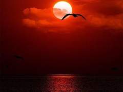 [채꿍] 카코토피아 4