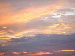 [고래별/해수수아] 마음의 형태_下