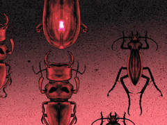 곤충 손그림 브러시 + PNG (~07.31무료 배포)