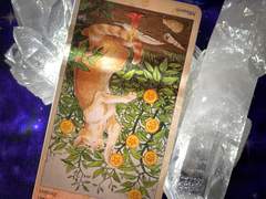 이번 주의 카드: 7 of Pentacles reversed