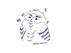 올빼미와 부엉이를 구별하는 방법